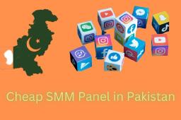 Why is SMM Panel Pakistan the Go-to Choice for Cheap Social Media Marketing?