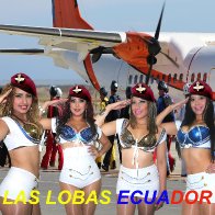 lobas4