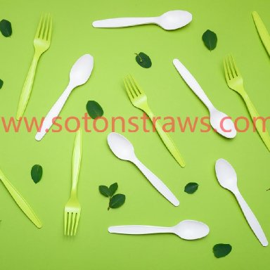 eco-friendly cutlery6
