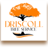 treeservicemonroe