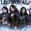 Los Bufalos